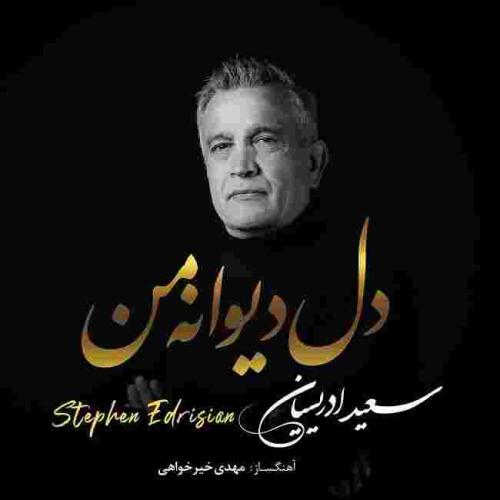 استفن ادریسیان دل دیوانه ی من